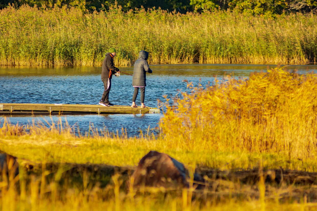 Bilder från Norra Kalmar Kommun