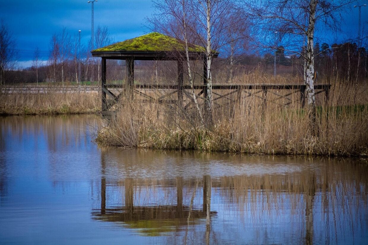 Bilder Kalmar Dämme/Salvestaden